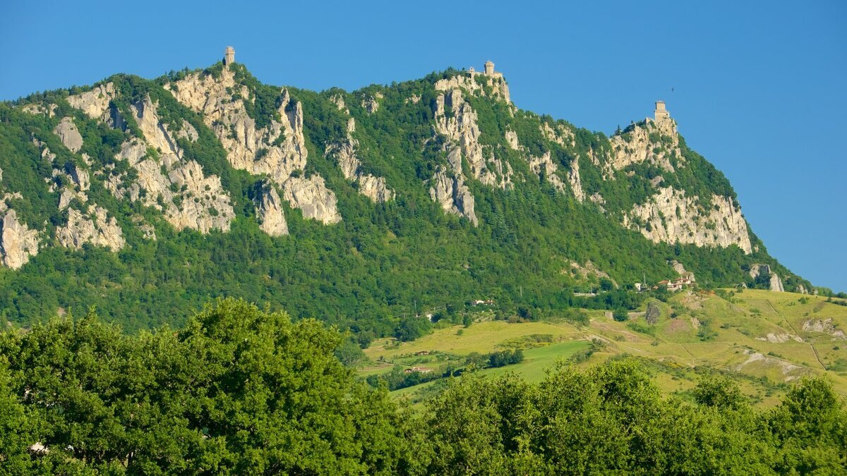 Ярослав - фотография