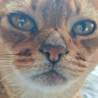 Фото ученика