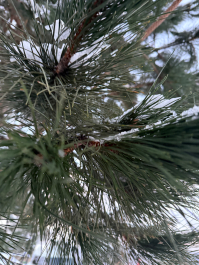 Фото ученика