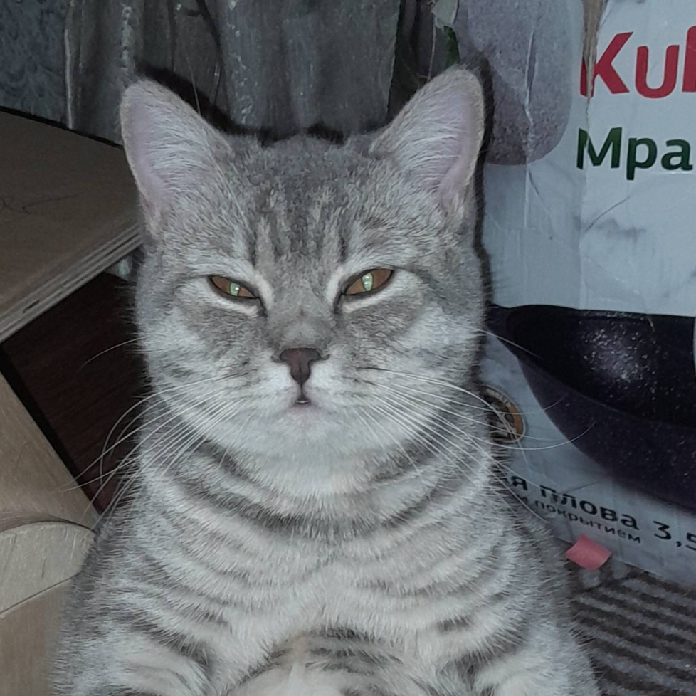 Дмитрий - фотография