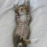 Фото ученика