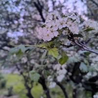 Фото ученика