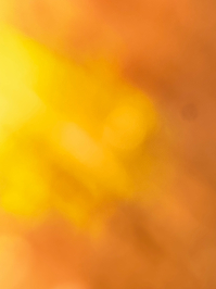 Фото ученика