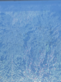 Фото ученика