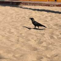 Фото ученика