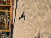 Фото ученика