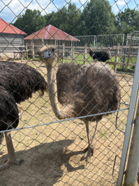 Фото ученика